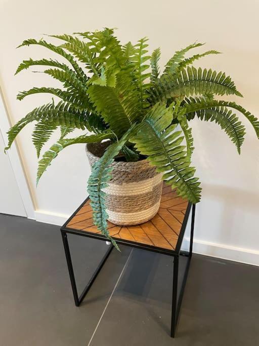 Ostend Chic, Luxe Loftstijl In Oostende מראה חיצוני תמונה